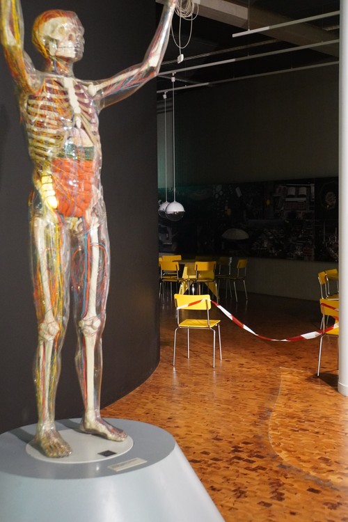Dasa Museum. Mit Flatterband abgesperrter Bereich. Modell Mensch mit Skelett und Organgen