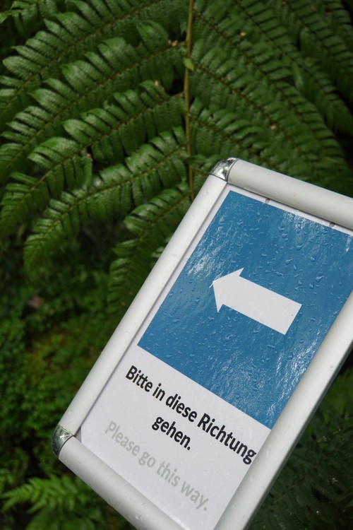 Palmengarten. Pfeil. Bitte in diese Richtung gehen. Pflanzen