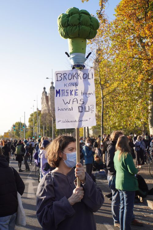 Brokkoli kann Maske tragen. Was kannst du? SchlauerAlsGemüse. Gegendemo