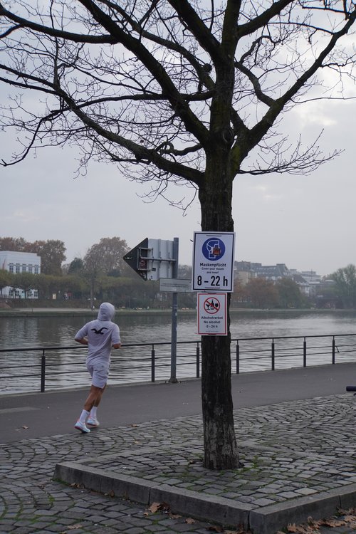 Mainkai. Maskenpflicht. Cover your mouth and nose. Alkoholverbot. No alcohol. Schilder, Baum. Jogger, Vogel, Fluß