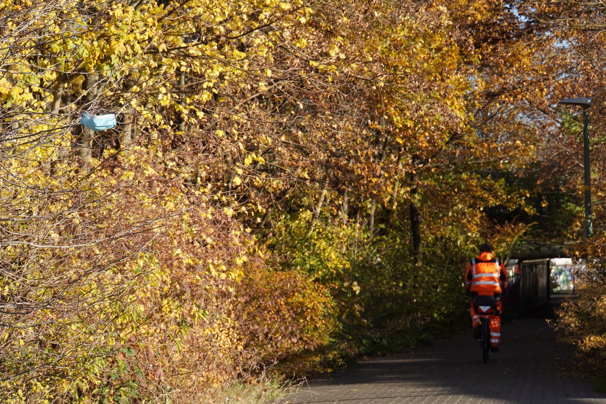 Masken in Bäumen. Fahrrad
