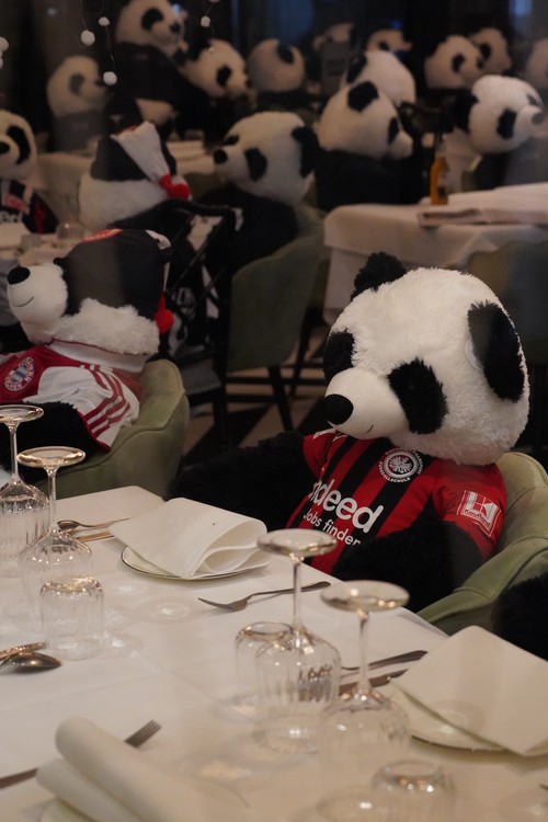 Panda-Mie Ausstellung Restaurant Pino. Gastronomie Lockdown. Stofftiere-Sponsoring. Corona-Bier. Fussball