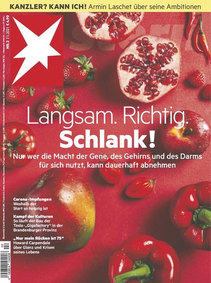 Cover Stern-Zeitschrift 2 -1