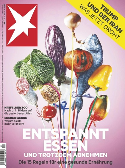 Cover Stern-Zeitschrift 3 2020