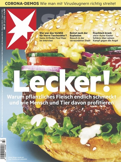 Cover Stern-Zeitschrift 37 2020